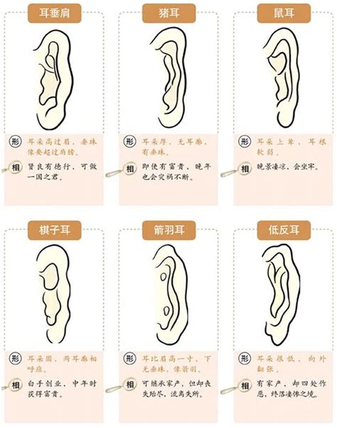 耳朵面向|十六種耳朵面相圖文分析